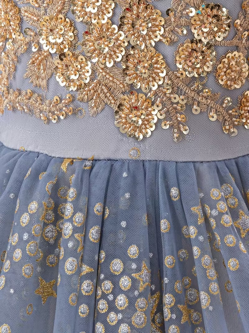 Elegant Blue Princess Ball Gown for Girls – Glitter Star Embroidered Party Dress